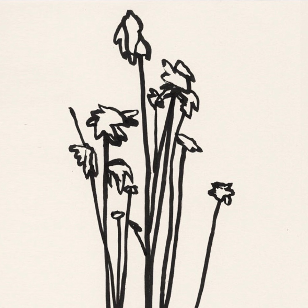 Meet your Posher, Arianna